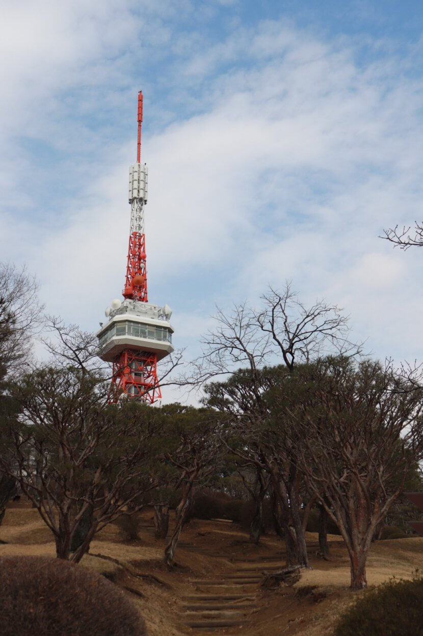 八幡山公園 お花見にもおススメ 見どころ満載の自然豊かな公園へ行こう リアルサイズ住宅展示場