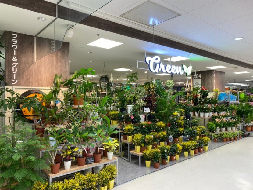 小山にジョイホンがnewオープン Diy アウトドア 観葉植物など品揃え豊富 リアルサイズ住宅展示場