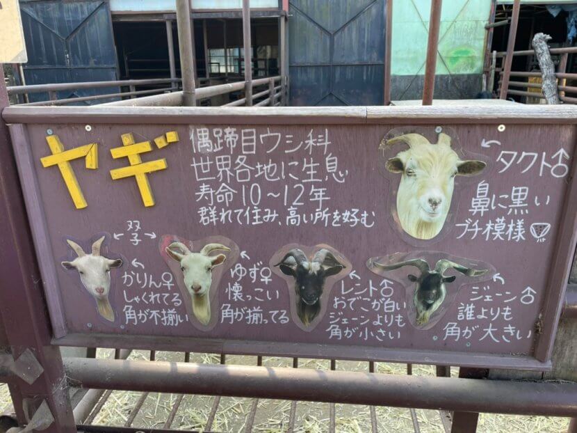 宇都宮動物園　栃木県　お出かけ