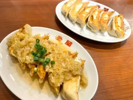 宇都宮で餃子を楽しむなら「来らっせ」へ行こう！人気餃子店の味を一度に楽しめる！